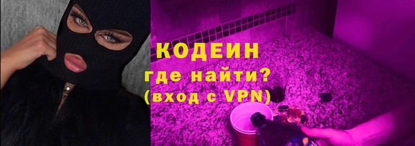 молекула духа Иннополис