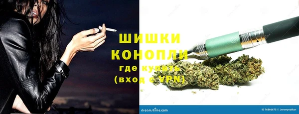 метадон Инта