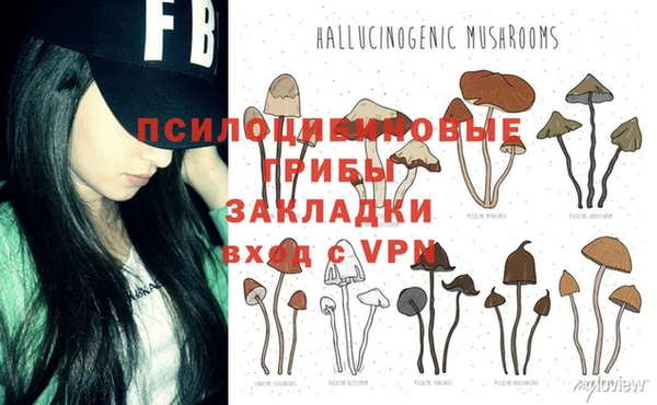 молекула духа Иннополис