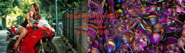 ALPHA-PVP Инсар
