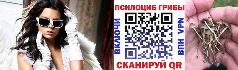 Галлюциногенные грибы мухоморы  Купить  Дорогобуж 